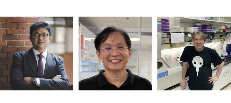 為疾病研究開啟新契機 中山、台大和清大解碼「醣體」登國際頂尖期刊
