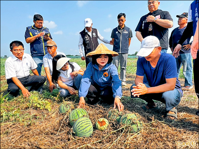 二崙西瓜、南瓜泡水 爭取救助