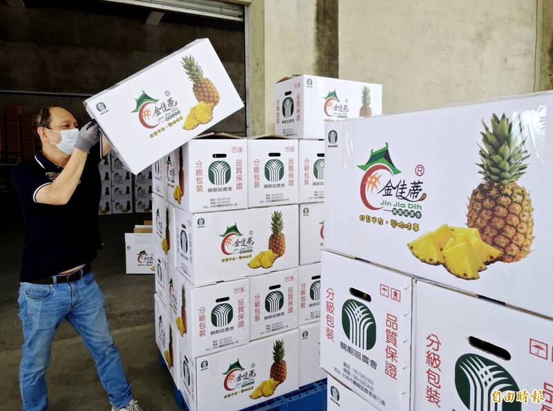 關廟鳳梨收購每日上萬斤 自有品牌強化視覺效果