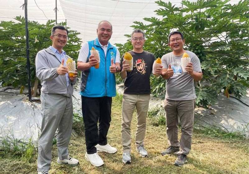 嘉義農友原本是金融業斜槓種木瓜 闖出中年人生新事業