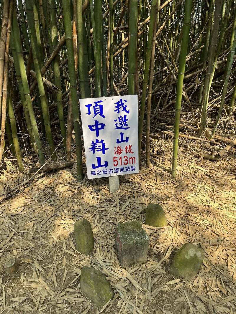 家長帶小孩走「樟之細路」 抱怨路標不明顯、沒公廁