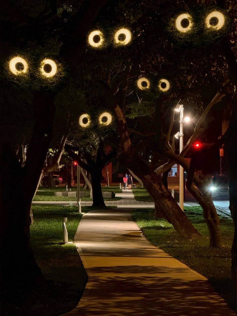 當燈怪遇上樹怪! 竹北兒童節大禮-紙風車《燈怪》4/24登陸