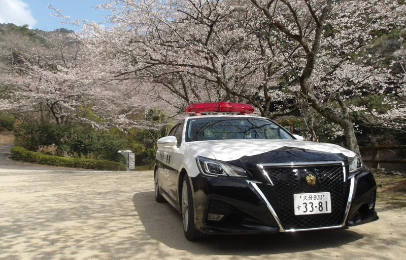 日本大分縣18歲少女失蹤多天 疑遭58歲男殺害棄屍