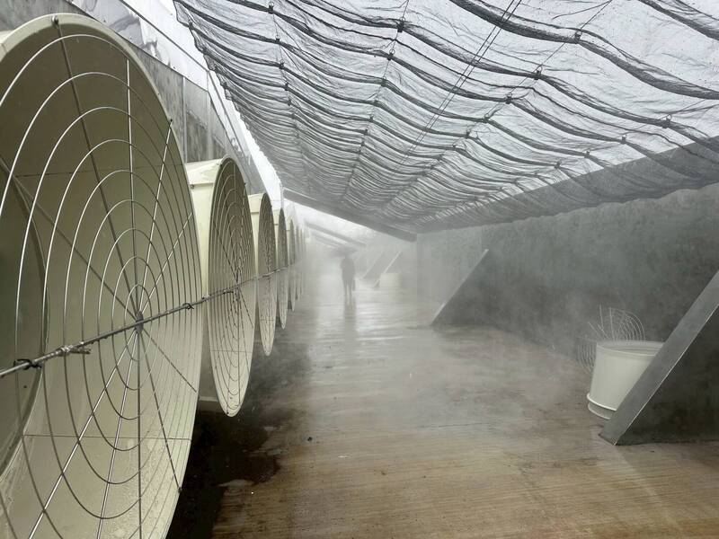 嘉縣推動畜牧場污染防治升級 最高補助業者10萬元