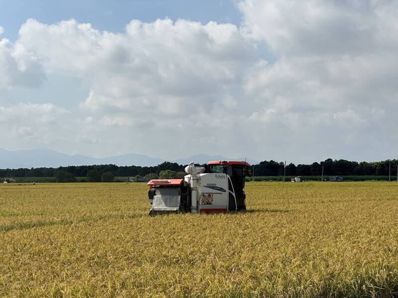 農糧署推動嘉義稻米產銷契作集團區 農民每公頃收入增逾萬元