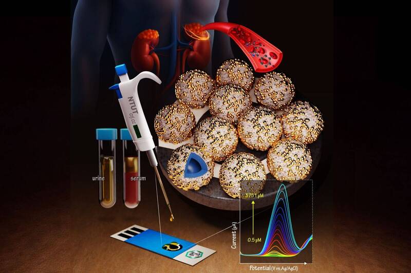 中央大學、北科大攜手研發綠色感測平台 錸奈米粒子具生物檢測應用潛力