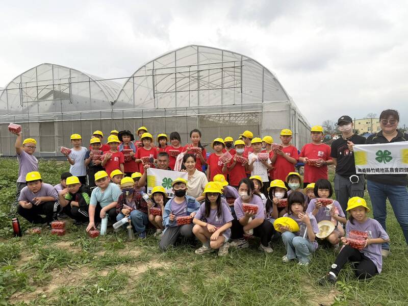 採小番茄愛心義賣 竹崎農會攜手青農、學童做公益