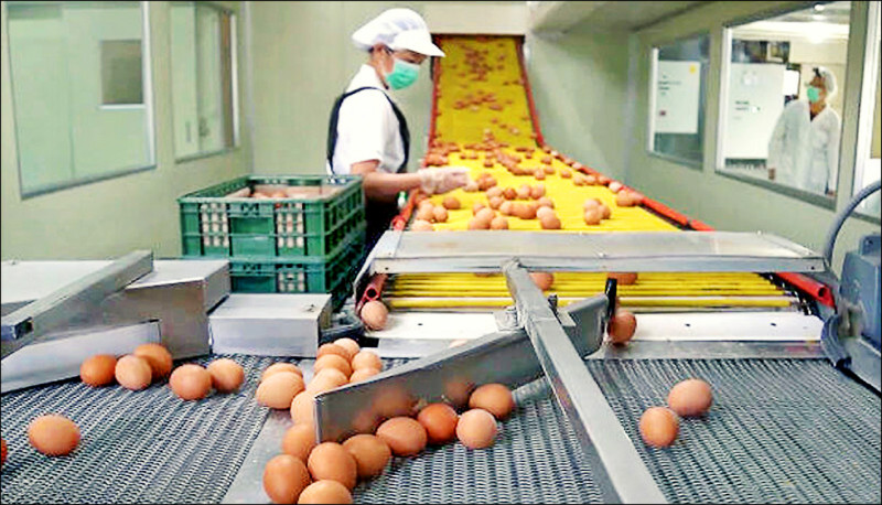 確保食安 7月起供應餐飲業洗選蛋須噴印
