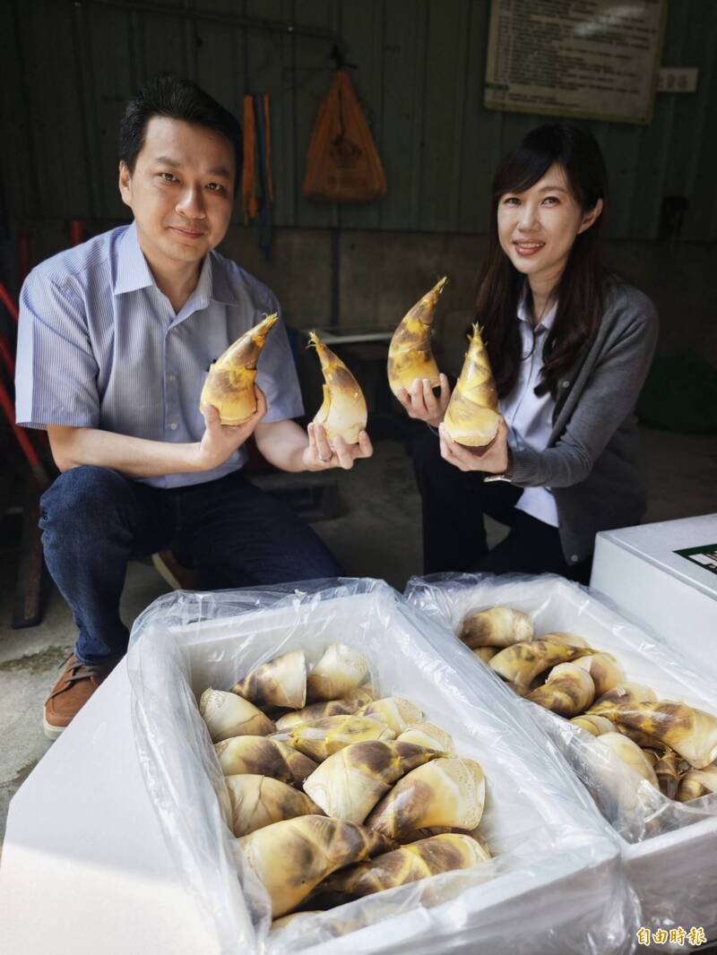 龍崎綠竹筍搶手 每公斤拍賣價今年最高700元