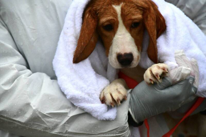 ��ǧ�����˳��ʵ�鳡  ��ȫ����װ�����ӵ�