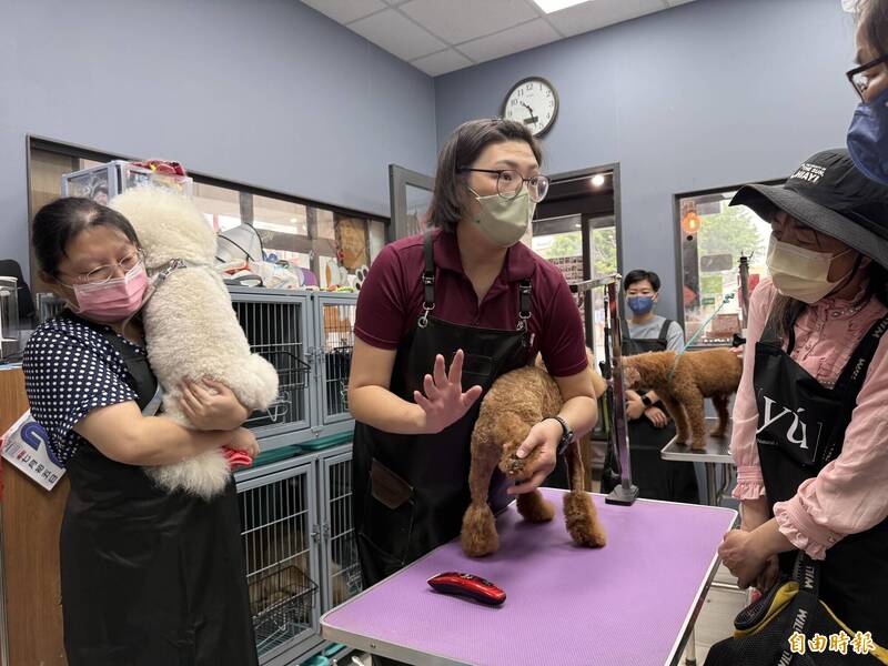 寵物美容師真實日常曝光！ 現場透露「這2種狗狗」較難整理