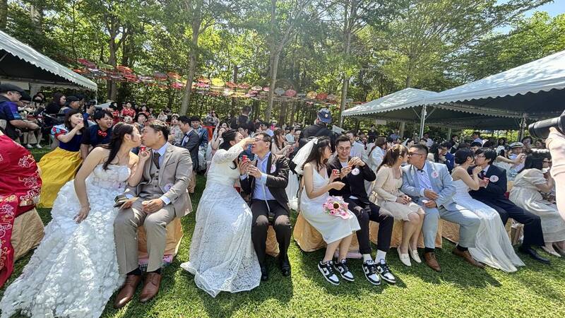 苗栗桐花婚禮36對佳偶「交杯餵食麻糬」 歡喜結連理