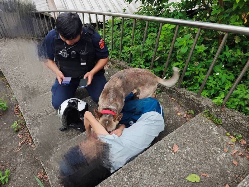 婦人返家途中突昏厥 忠犬狂吠求援救命