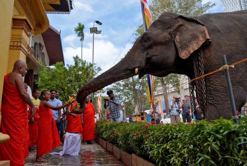 涉嫌走私毒品 斯里蘭卡拘留22名佛教僧侶