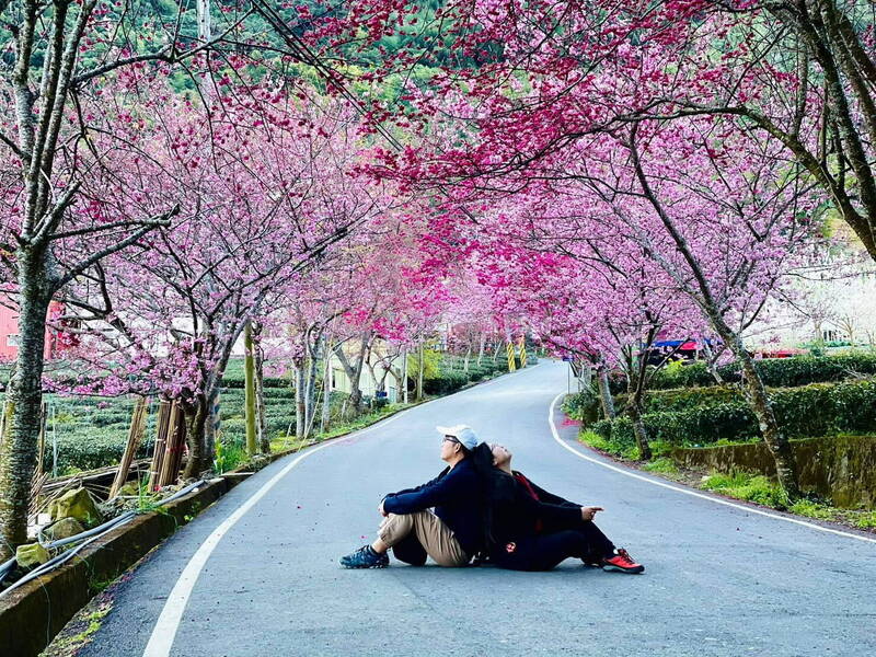 身後財產給誰？7旬董座找代理孕母生子傳宗 社工「這原因」勸母湯