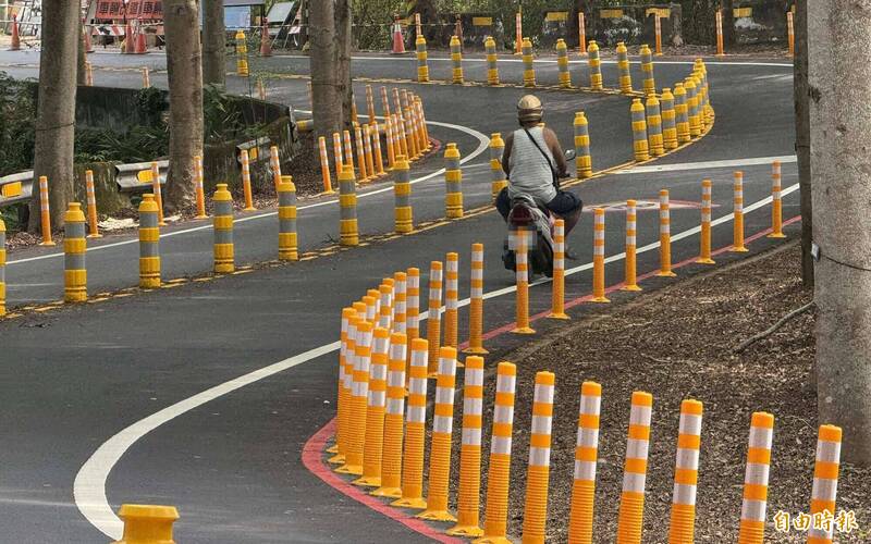 密密麻麻！最美139線驚現560支「黃色棒棒糖」 用路人看傻