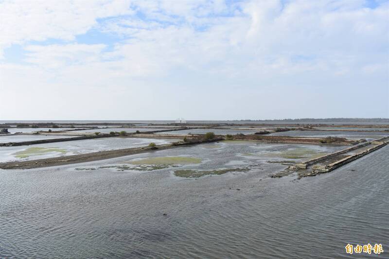 台南青鯤鯓扇形鹽田廢鹽24年 發現海草生態