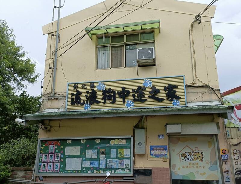 狗狗暫時搬家！彰化重建中途之家 下個月分批送往代養場