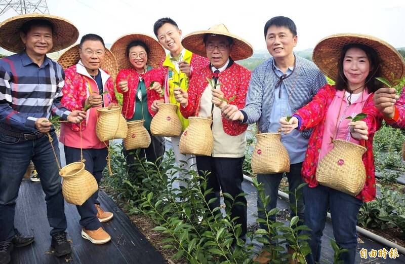 台南東山也產茶！黃偉哲：台南茶誕生