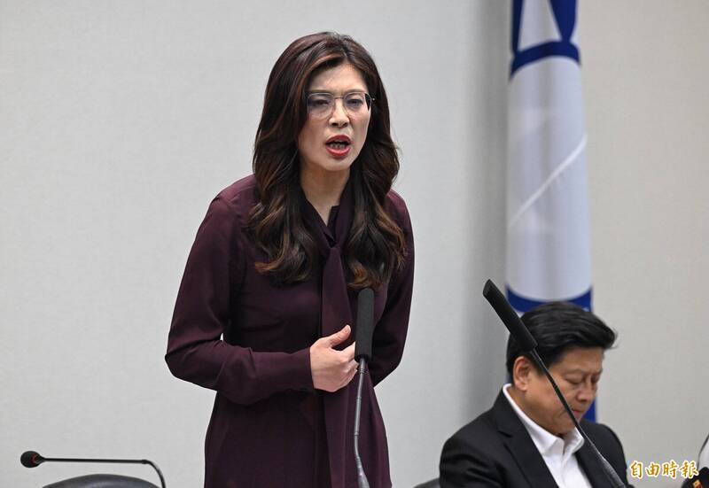 傳鄭麗文要藍委挺3800億+N  AIT：「全面性」條例增強台灣嚇阻力