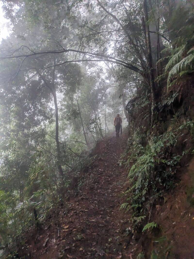 唐麻丹山蝴蝶谷步道封閉改道重建 今重新開放