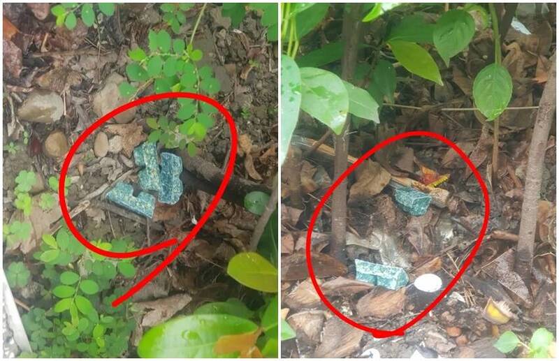 蔣市府亂投老鼠藥想交差? 林亮君PO照：毛孩誤食怎麼辦