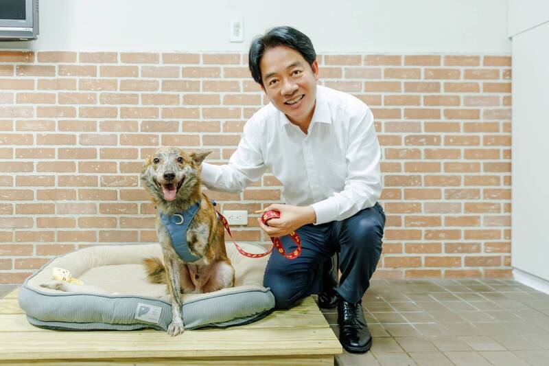 陳佩琪扯總統愛犬斑斑護航柯文哲 詹凌瑀反嗆：狗不會貪污