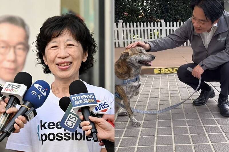 「斑斑」被罵殘障三腳狗！醫師拆解「陳佩琪文體」：其實在迴避問題