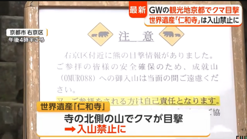 日本旅遊當心！ 京都世界遺產「仁和寺」驚傳熊出沒
