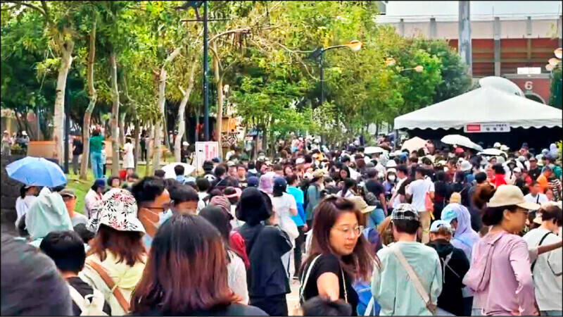 「皮克敏贈品」之亂 嘉義市府修訂發放規則平息民怨