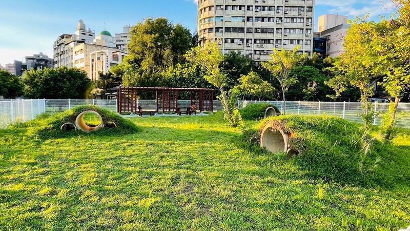 養兔族群躍至第3大 飼主連署籲評估設「兔子公園」遭北市府打槍