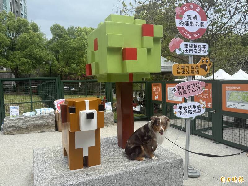 汪星人新基地！「寶湖狗運動公園」啟用 面積北市第2大