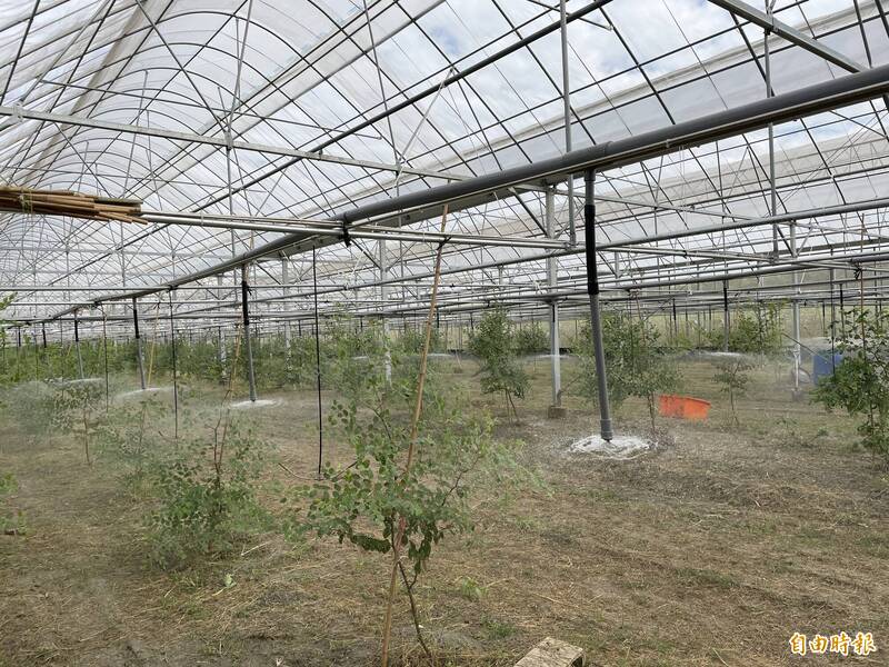 農水署「智慧灌溉」提升50％節水率 農作增加產值28.8％