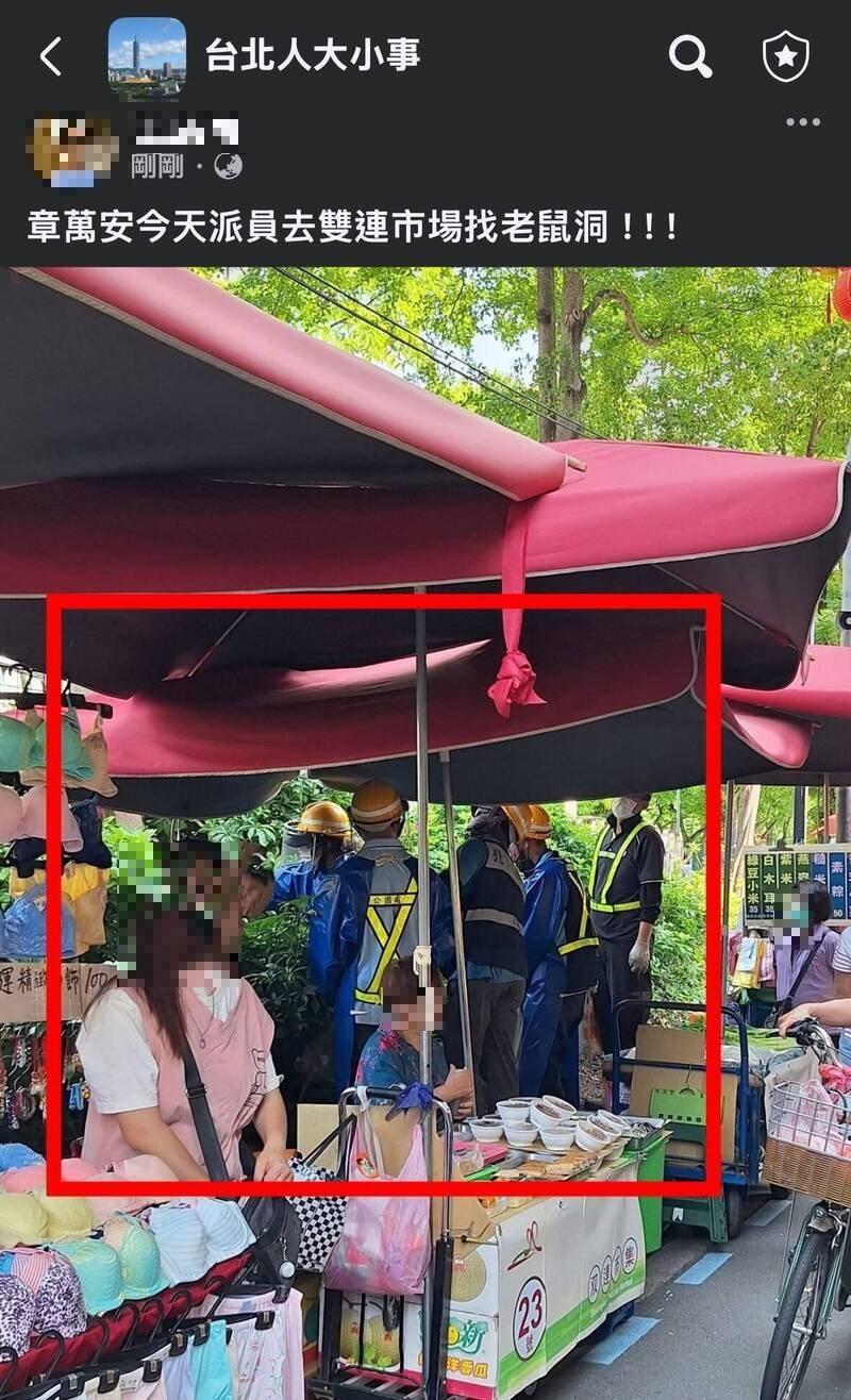 疑蔣萬安派員用PU發泡堵老鼠洞  徐小花：真的笑鼠