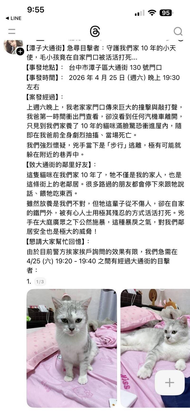 台中潭子一隻寵物貓被活活打死   警方調閱監視器追兇