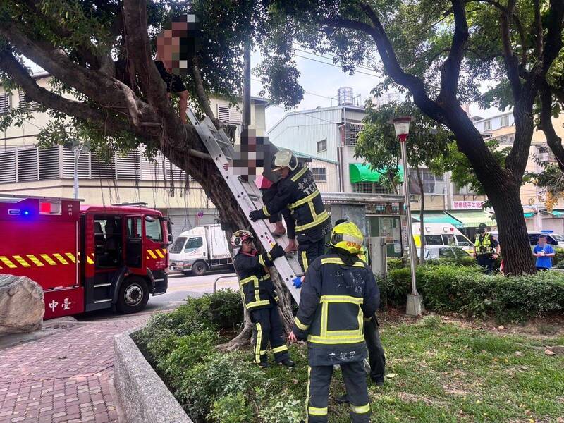 糗大！台中兩男爬樹上喝酒納涼下不來    受困2米高樹上急呼救