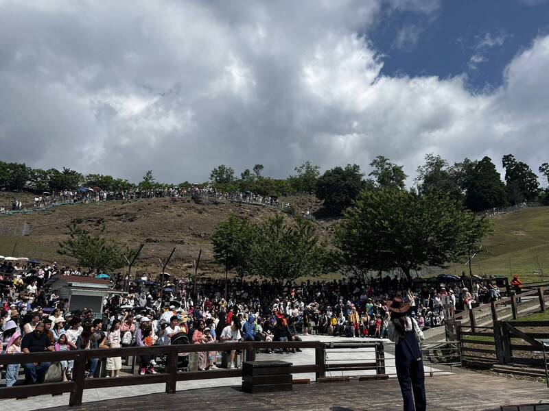 合歡山賞花中繼站 清境農場勞動節連假湧上萬遊客