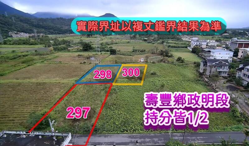母親節法拍撿便宜！壽豐千坪地300萬下殺 還有韓系護髮