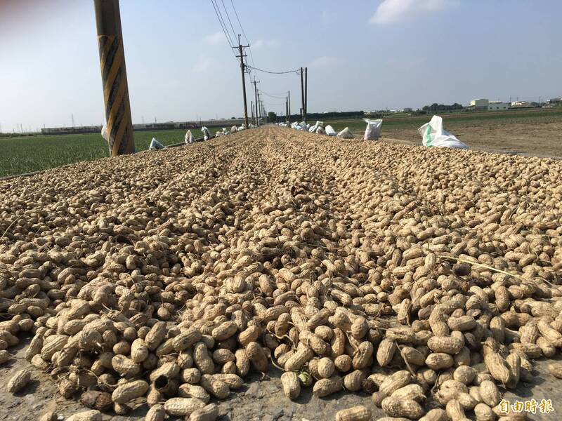 美國花生零關稅來襲 雲林農民信心下跌要求修法標示來源