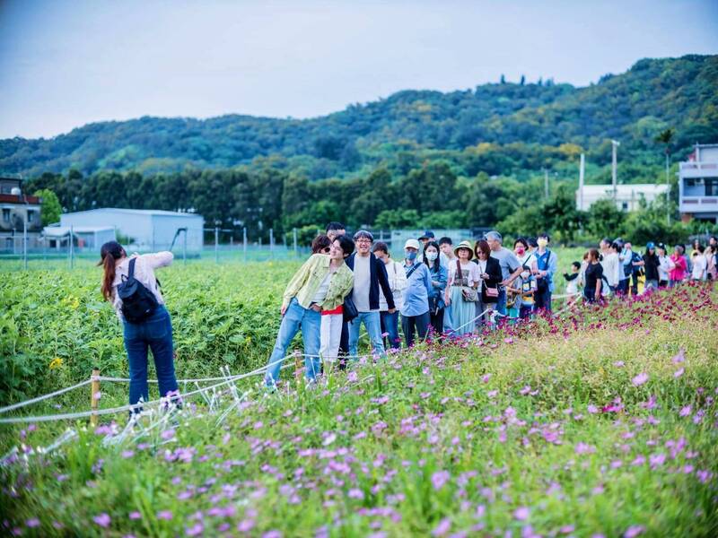 竹北市「陌上花開」昨首度移師鳳岡 採向日葵延至5/17