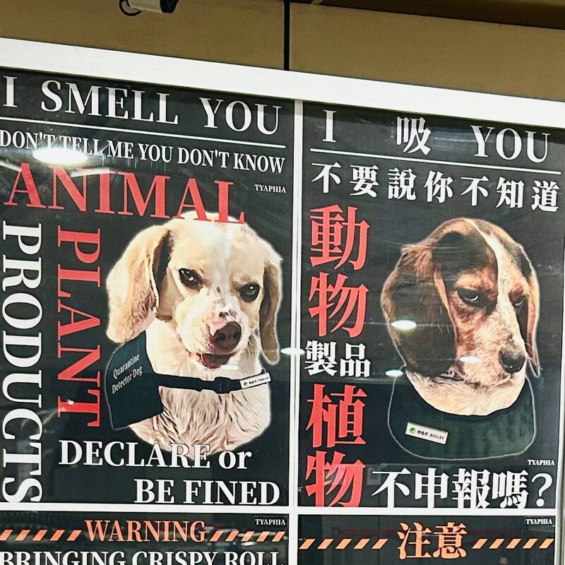 台灣護國神犬海報兇喊「I吸YOU」 反差萌翻逾80萬日本人