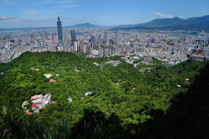 北市大量投放老鼠藥 鄧樂強：跟復育猛禽成果對幹 摧毀台灣生物多樣性