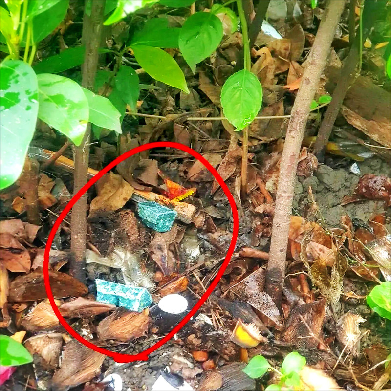 安鼠之亂！台北市政府大撒老鼠藥 環境部長籲公開地點／建議市府比照登革熱區域分工 找專家制定防治策略