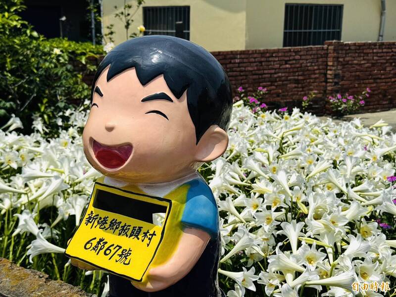 嘉義新港古厝百合綻放 成療癒打卡秘境