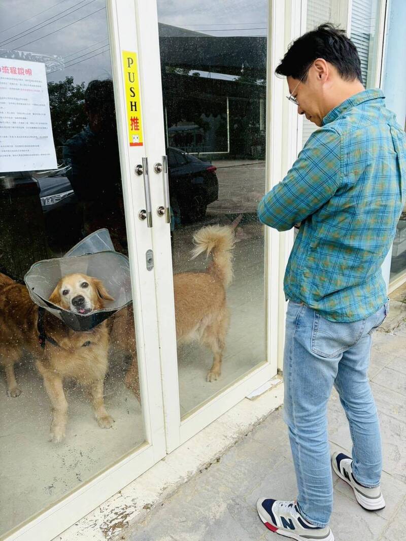 苗栗西湖網紅餐廳爆虐犬 陳光軒質疑照顧量能籲縣府沒入犬隻