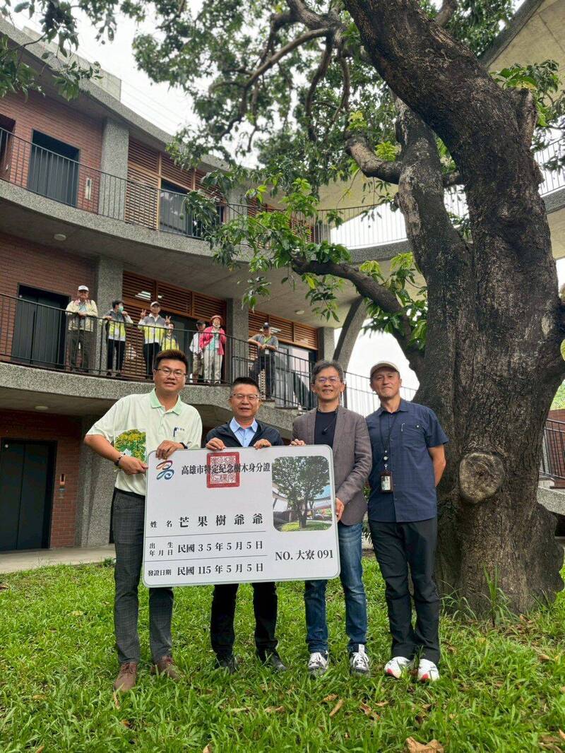首例!高雄企業守護81歲芒果樹 打造綠建築共生+列管特定紀念樹木