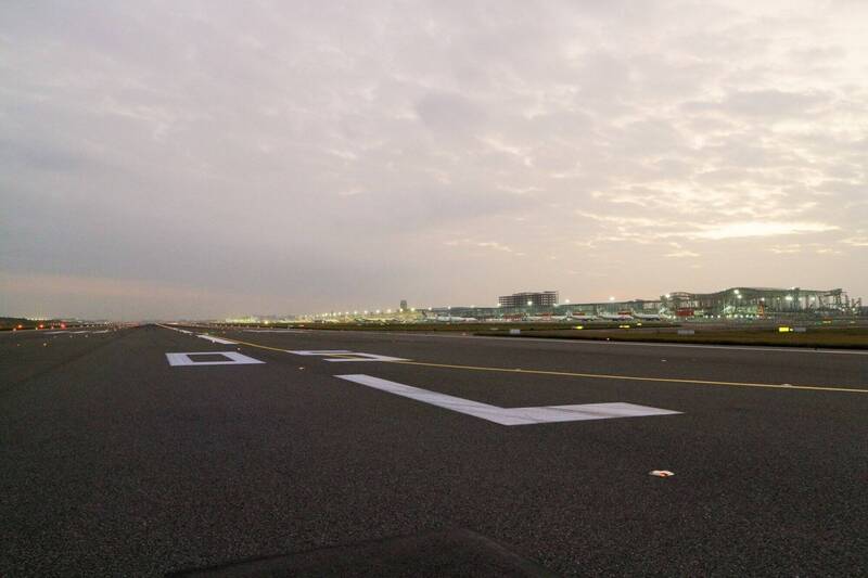 桃機跑道現狗蹤民憂影響飛安 機場公司：即時驅離