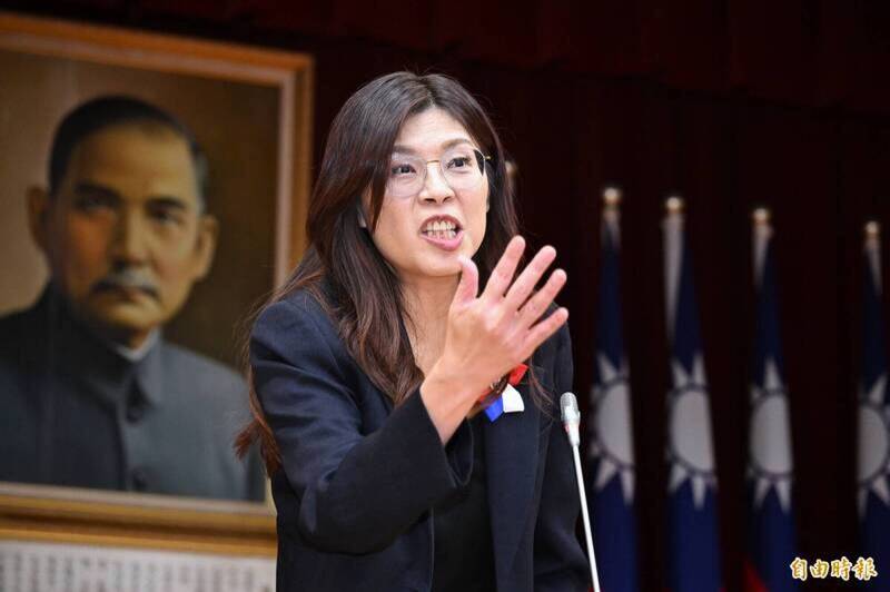鄭麗文稱挺8000億版藍委是少數 詹凌瑀：內鬨大戲比八點檔還好看