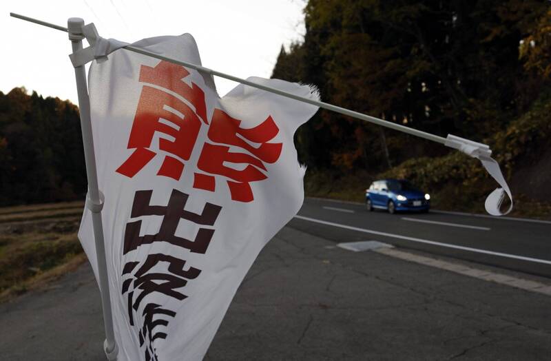 今年首例！日本秋田熊隻出沒 農民遇襲受傷