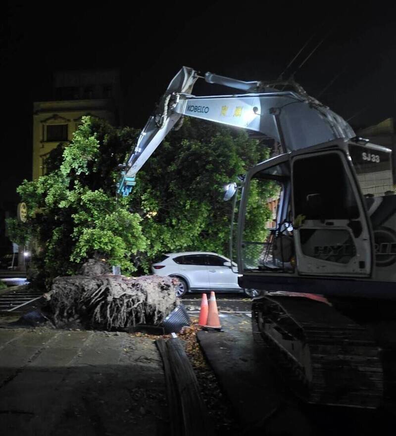 苗栗苑裡鎮圖書館前路樹突倒塌  1轎車、2機車遭壓毀